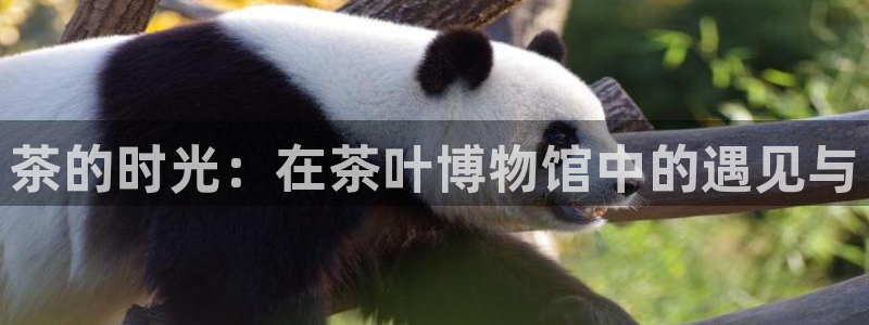 龙八国际下载链接官网