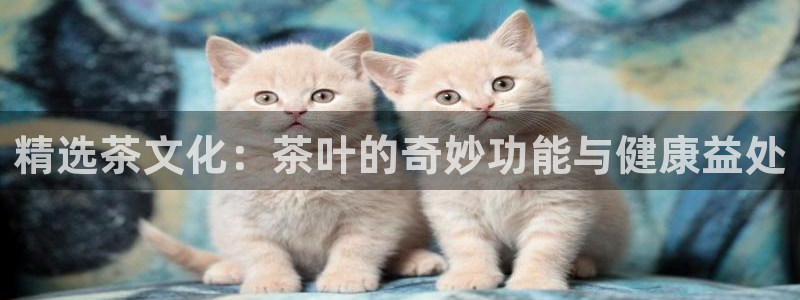 天津龙八国际