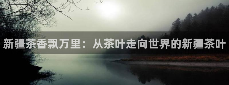 龙八国际官网客户服务