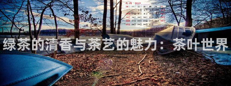 龙八国际最新版本下载