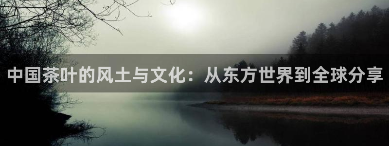 龙八国际网站多少