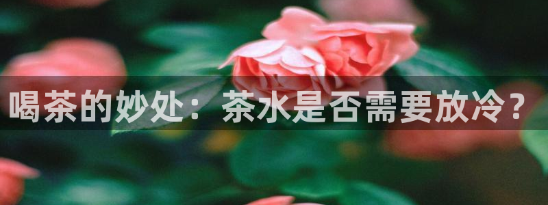 龙八国际怎么注册下载