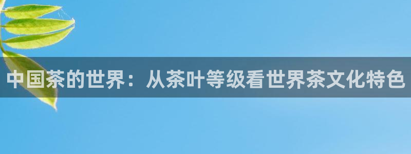 龙八国际服官网进入