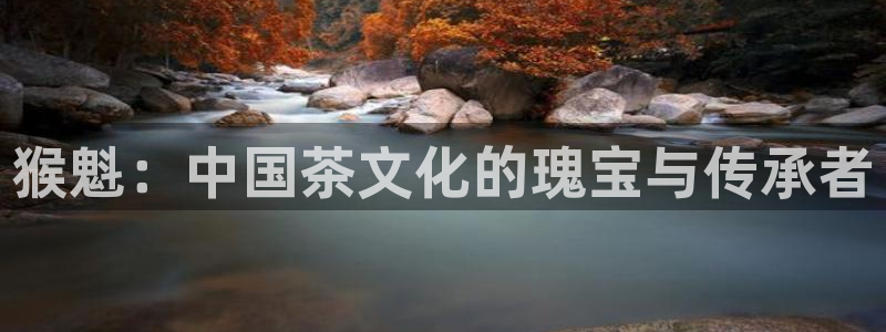 龙八国际苹果下载