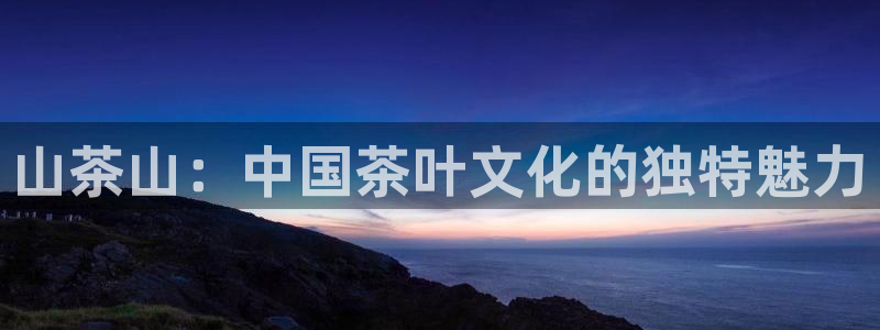 龙八国际手机版入口官网