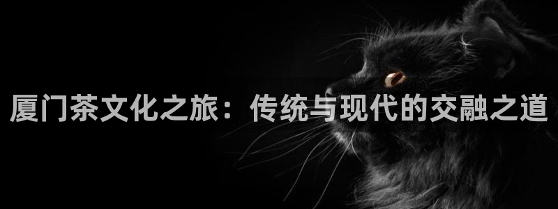龙八国际华