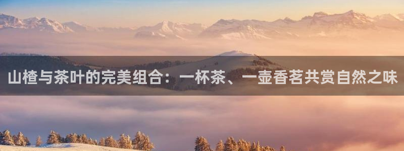 龙八国际娱乐平台