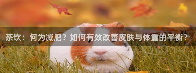 龙八国际是个什么游戏机