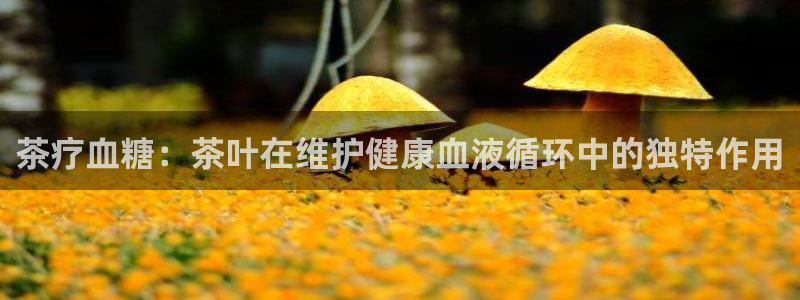 龙八国际不支持苹果手机