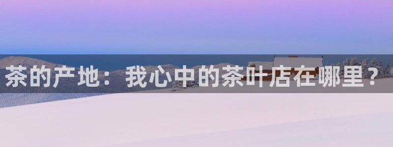 龙八国际现金