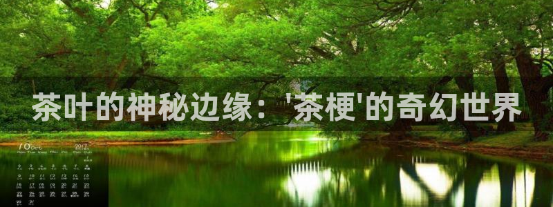 龙八国际官网手机端