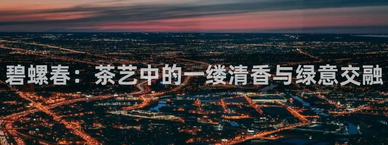 龙八国际唯一官网