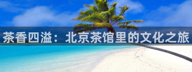 龙八国际安全