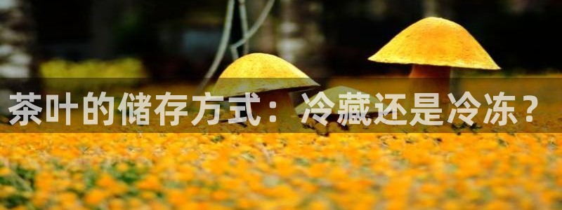 龙八国际下载安装