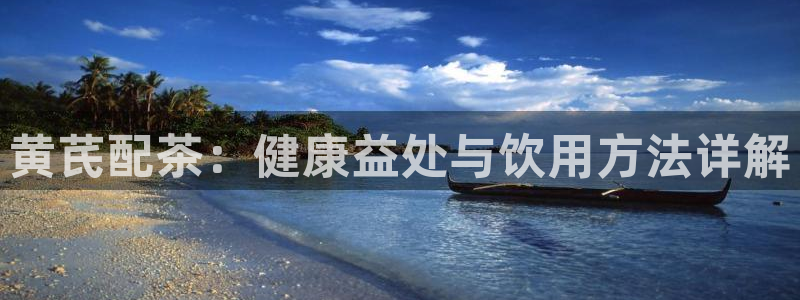 龙八国际棋牌官方网站