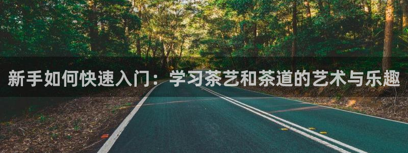 龙八国际官方网登录