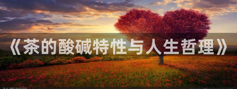 龙八国际b48点tv