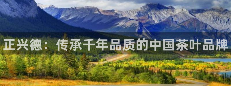 龙八国际游戏视频