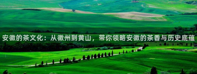 龙八国际优惠券有什么用