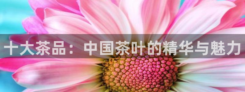 龙八国际下载地址