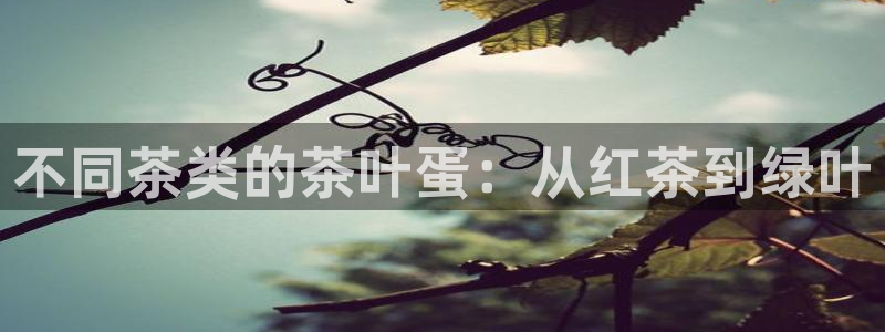 下载龙八国际官网