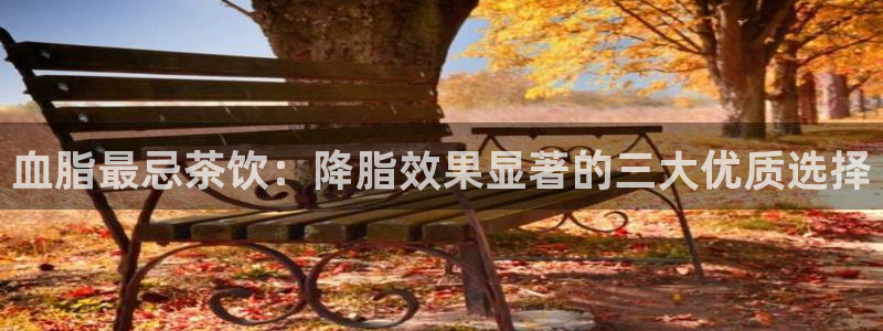 龙八国际优惠券