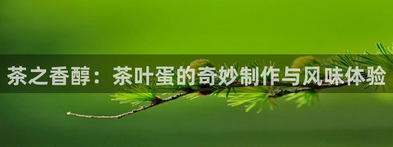 龙八国际娱乐官网app
