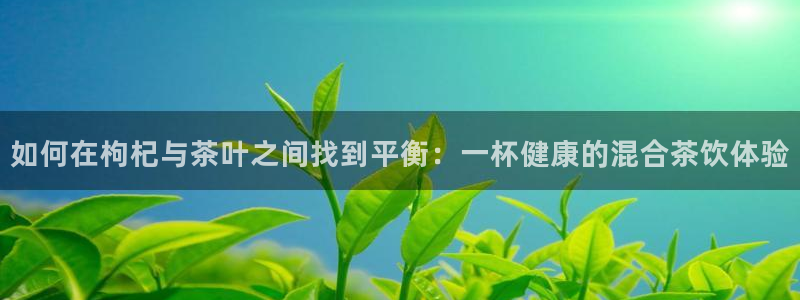 龙八国际手机版