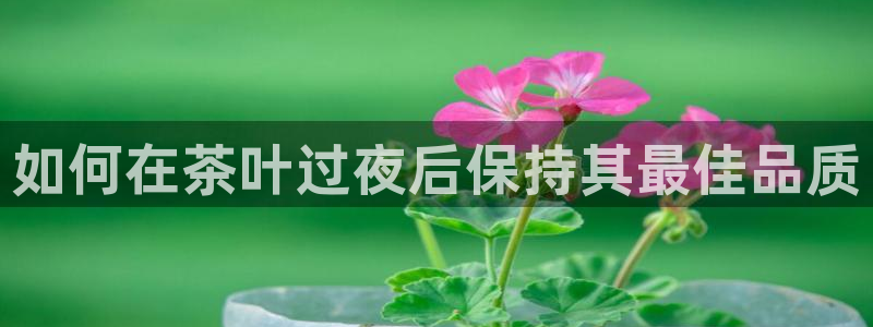 龙八国际娱手机