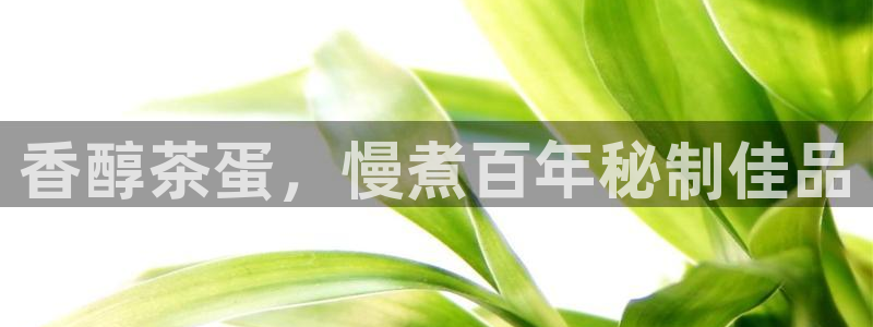 龙八国际网页登陆