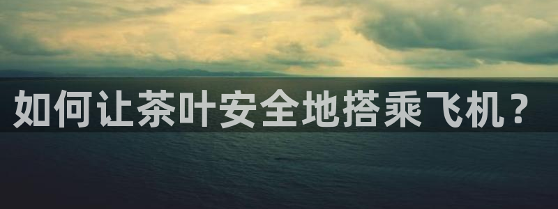 龙八国际代理app