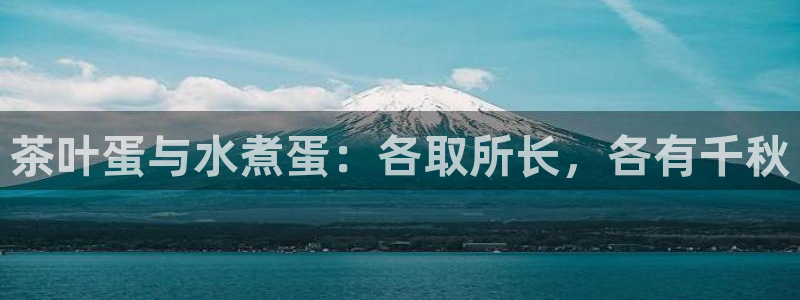 手机版龙八国际
