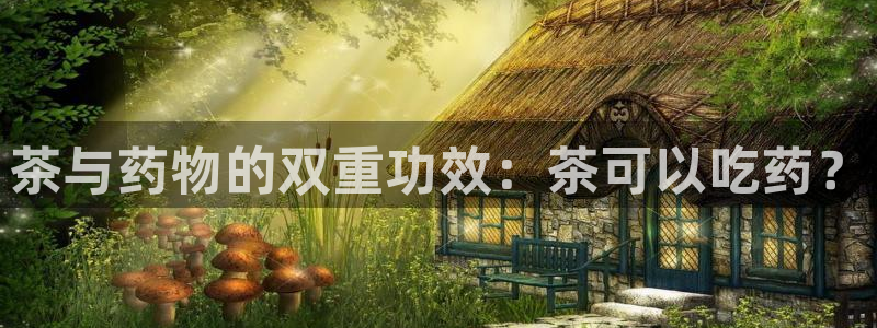 龙八国际娱乐实力如何