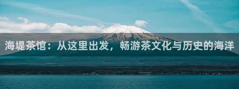 龙八国际手机app