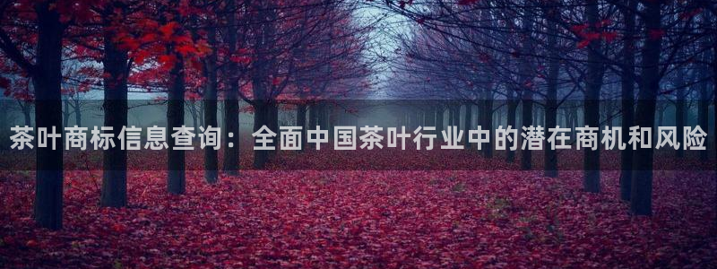 龙八国际网页long8868