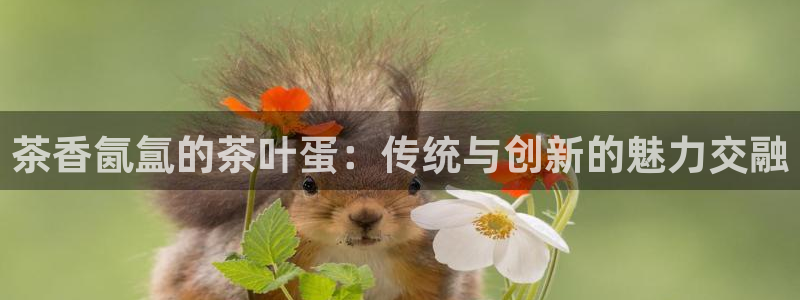 龙八国际app客户端