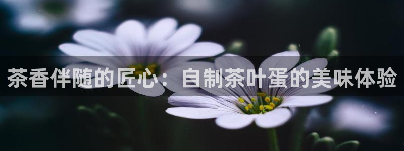 龙八国际服官网下载安装