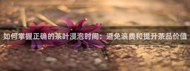 正规龙八国际娱乐