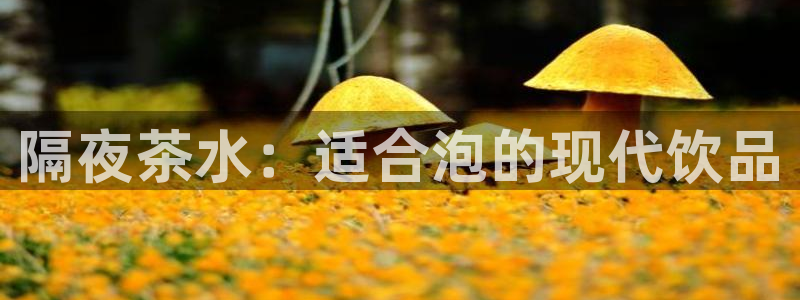 龙八国际官网手游