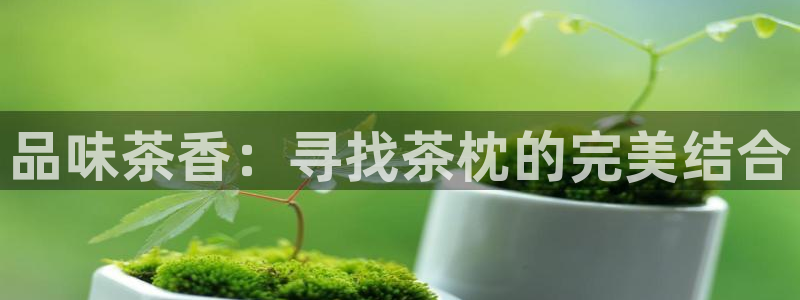 龙八国际首页