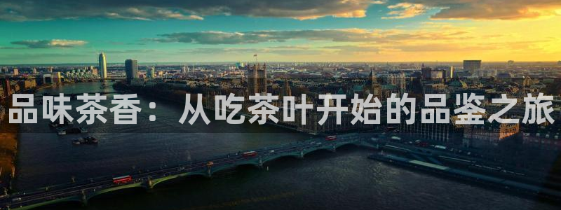 龙八国际手机客户端下载app