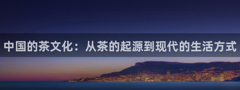 项目名称龙八国际