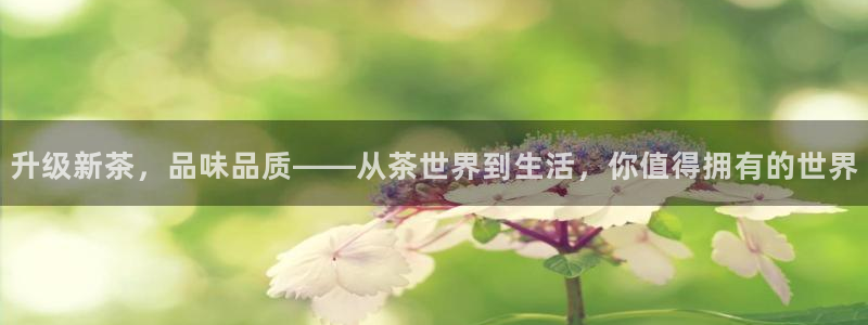 龙八国际兑换码