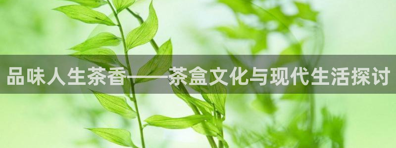龙八国际q18 tv