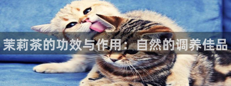 龙八国际app客户下载