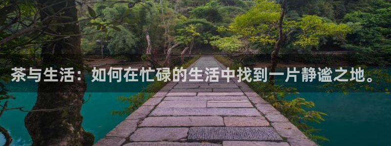 搜索 龙八国际