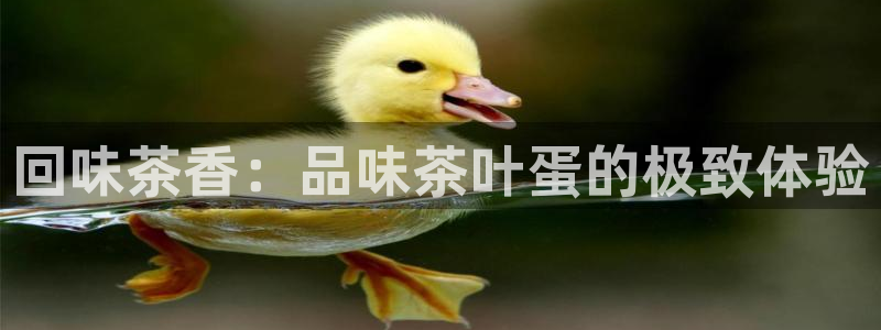 龙八国际娯乐城软件下载