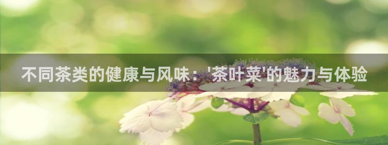 龙八国际mg老虎机