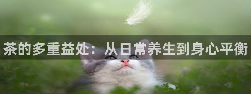 下载龙八国际手机版游戏
