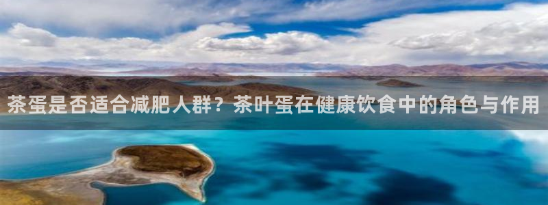 龙八国际官方网站pt